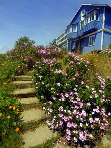Valparaiso Chile Hotel Booking Promo Code Booking.com