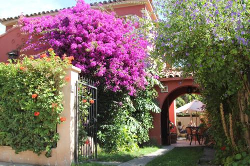 La Serena Chile Hotel Booking Promo Code Agoda.com