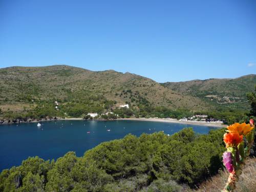 Rosen Spanien Hotelbuchungs-Promocode Booking.com